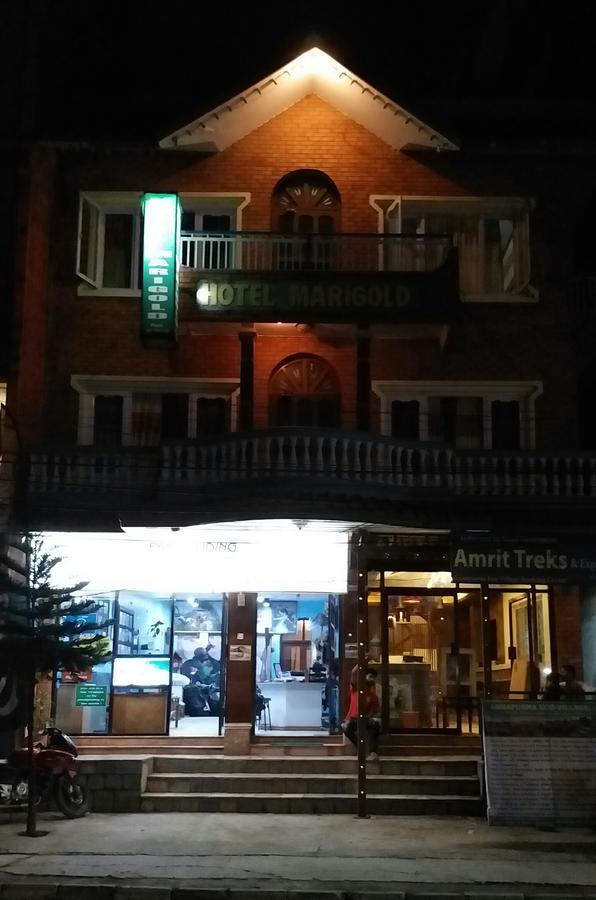 Hotel Marigold Покхара Екстер'єр фото